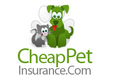 Cheap Pet Insurance